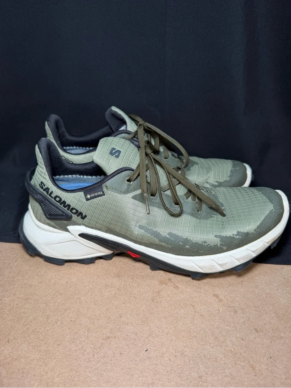 Salomon Alpha Cross 4 Trail Running Shoes GoretexMen's US 9 UK 8.5 Dr. Scholl